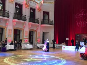 amazing-vienna-2017-039