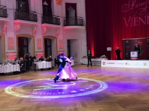 amazing-vienna-2017-047