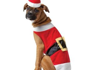 santa-pet-dog-costume