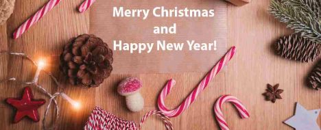 Merry Christmas and Happy New Year 2025!